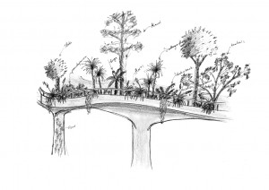 Bridge Planting Suggestion 7 (1)  